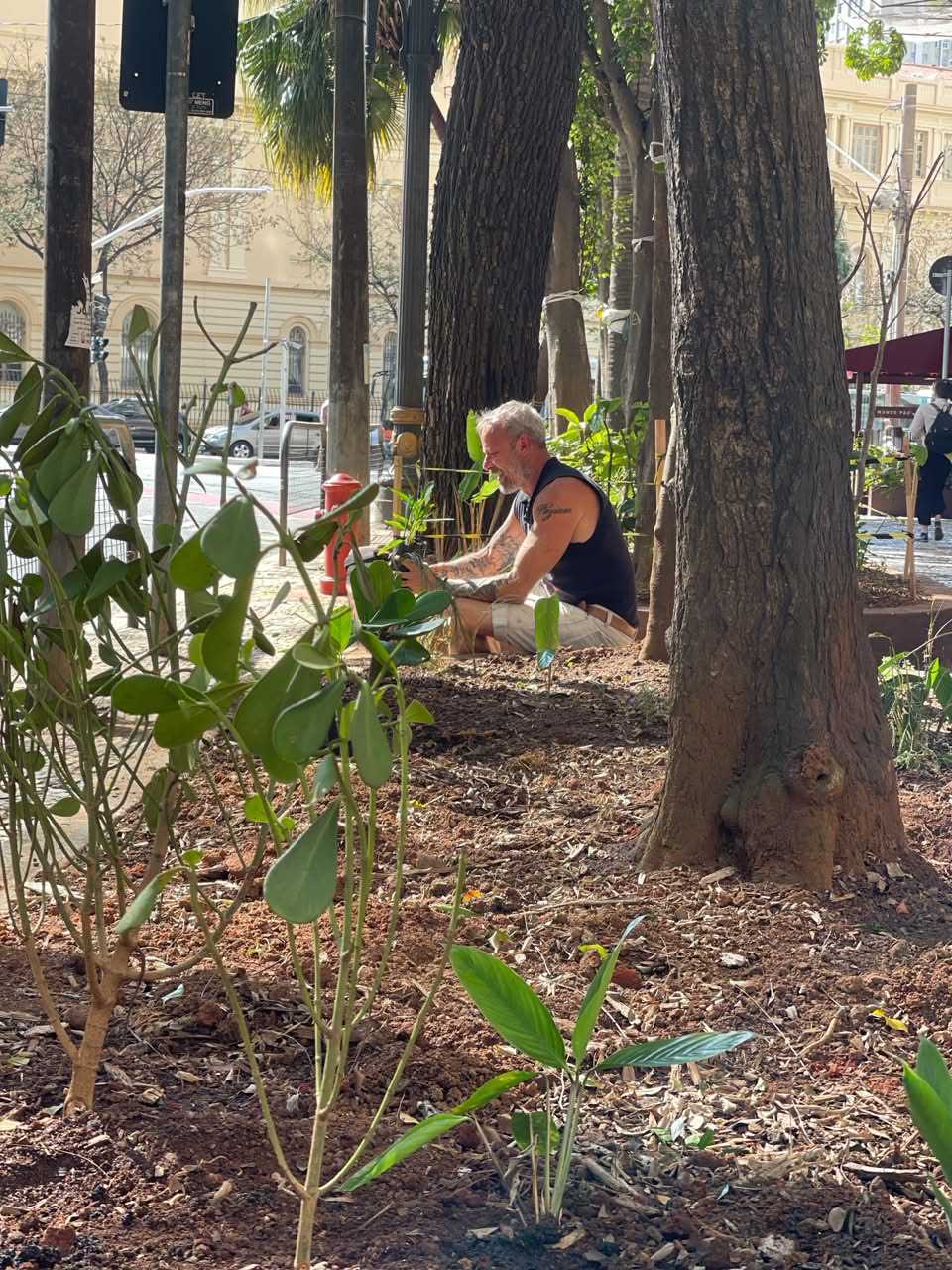 Eduardo Paziam cuidando de canteiro urbano no centro de São Paulo